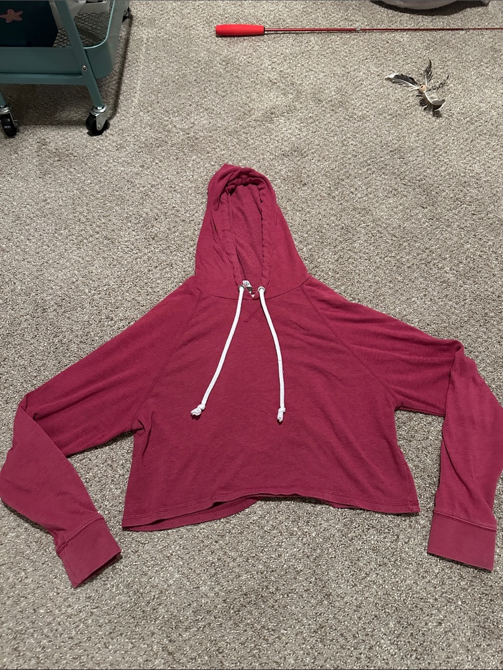 H&M Cropped Hooded Pullover Sweatshirt in Berry